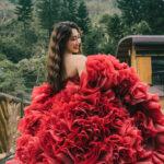 『高訂系列A區』婚宴收場的紅花團