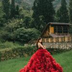 『高訂系列A區』婚宴收場的紅花團